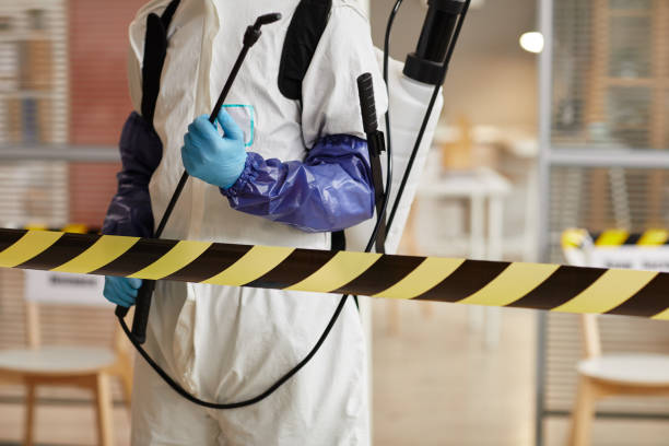 Professional Infectious Disease Decontamination technician working in Angels Camp, CA